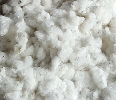 cotton-ball-game-21890164 cotton-ball-game-21890164