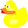 duck_opt