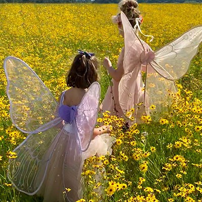 fairy-birthday-party fairy-birthday-party